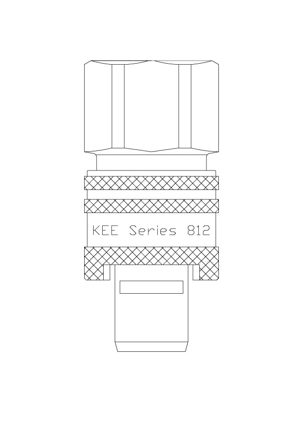 Female Thread BSPP Plug