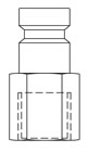 Female Thread BSPP Plug