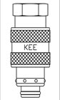 Female Thread BSPP Plug